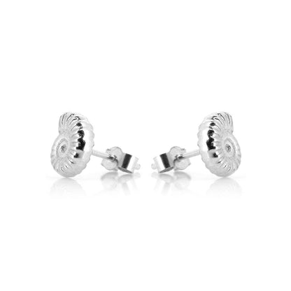Ammonite Stud Earrings - Sterling Silver Stud Earrings