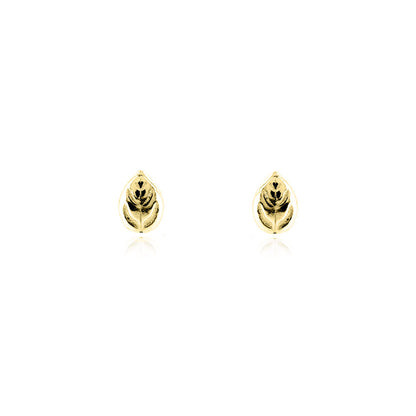 Glade Leaf Stud Earrings - 9ct Yellow Gold Stud Earrings