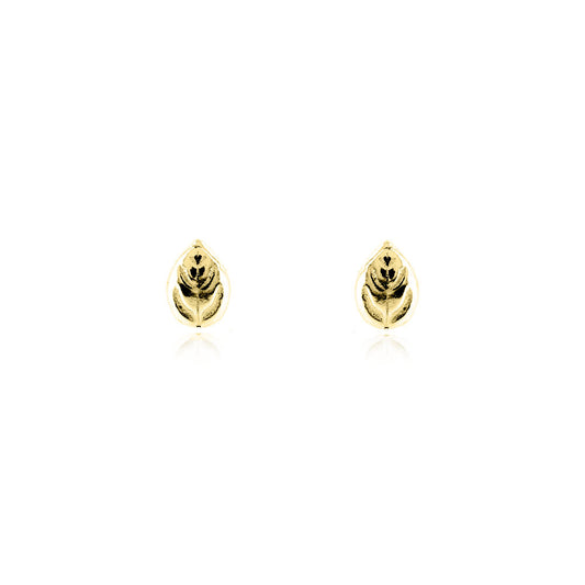 Glade Leaf Stud Earrings - 9ct Yellow Gold Stud Earrings