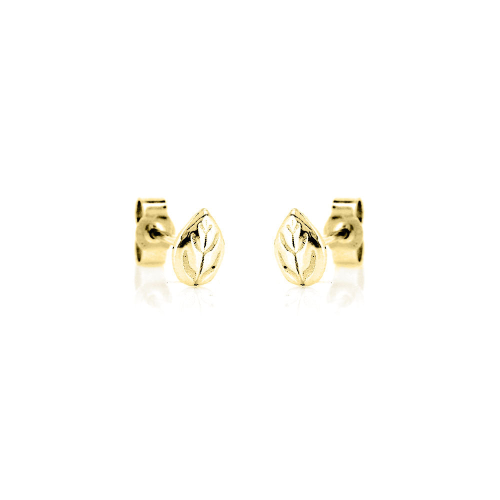 Glade Leaf Stud Earrings - 9ct Yellow Gold Stud Earrings
