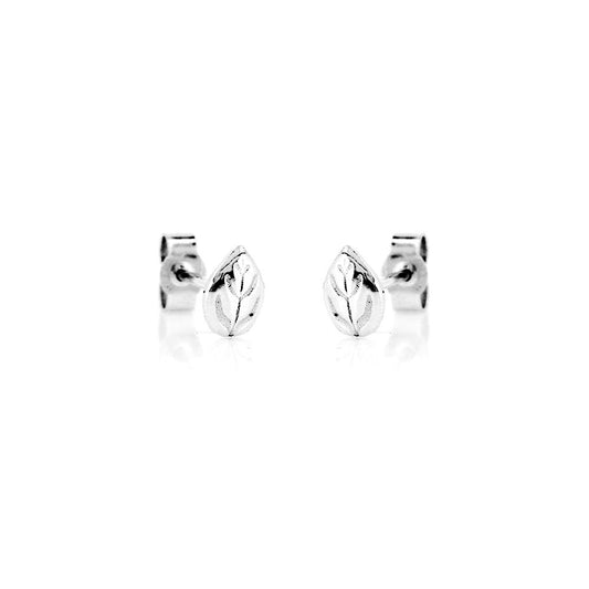 Glade Leaf Stud Earrings - Sterling Silver Stud Earrings