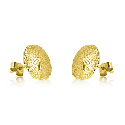 Sand Dollar Small Stud Earrings - Yellow Gold Vermeil Stud Earrings