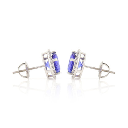 Pre-Owned - Tanzanite & Diamond Halo Stud Earrings Stud Earrings