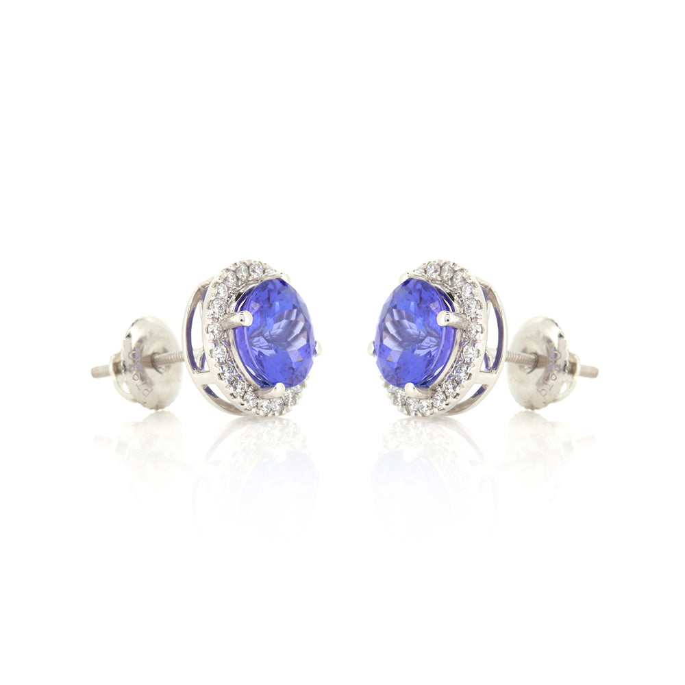Pre-Owned - Tanzanite & Diamond Halo Stud Earrings Stud Earrings